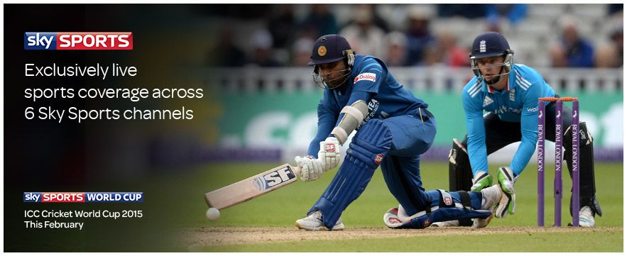 cricket world cup.jpg
