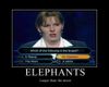 elephants.jpg