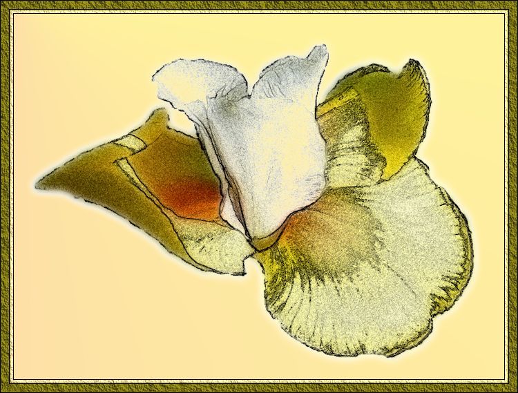 ron's flower.jpg