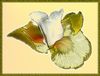 ron's flower.jpg