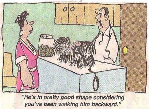 walkies.jpg