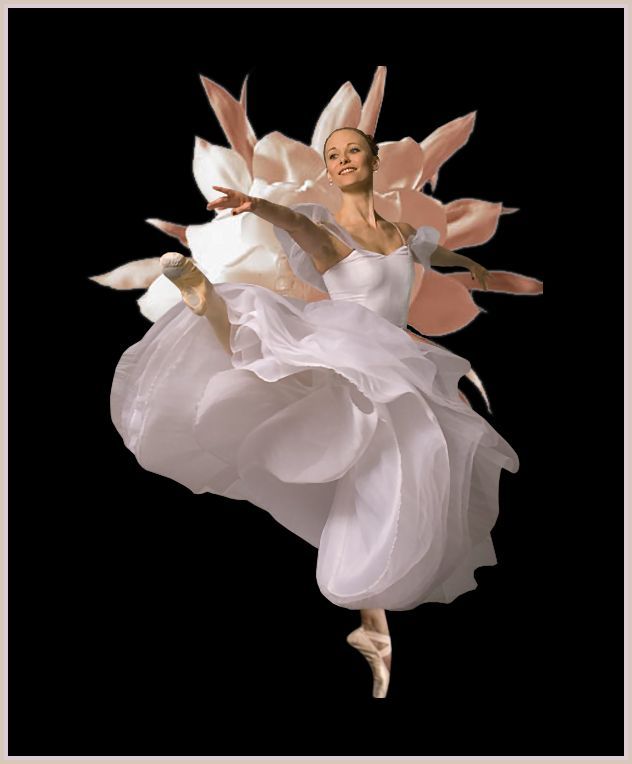 ballet flower.jpg