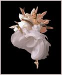 ballet flower.jpg