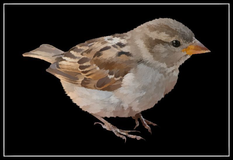 birdy.jpg
