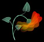 glass flower.jpg