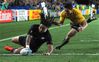 nonu_2028231c.jpg