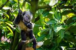 SFELL_120523_168.jpg