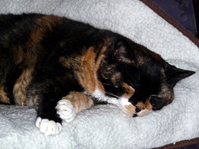 P1000556.JPG