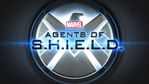 shield.jpg