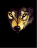 aniwolf1.gif