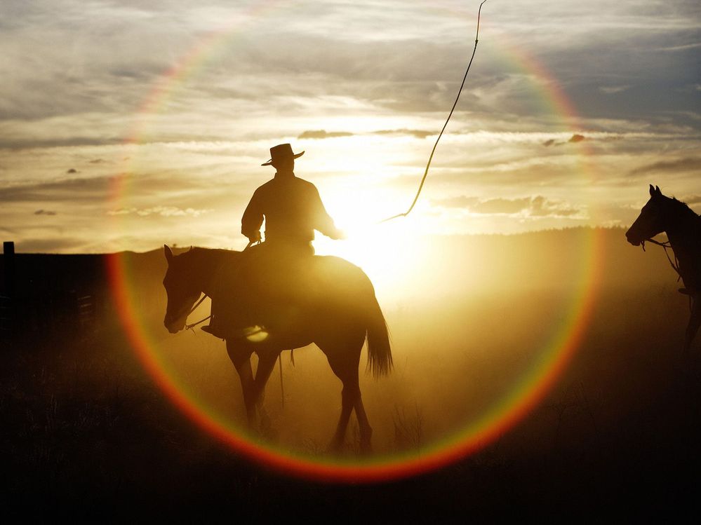 Cowboy
