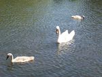 Picture 009.jpg