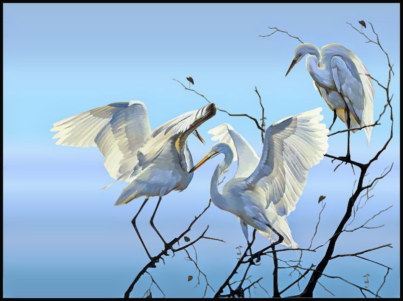 birdy water colour.jpg