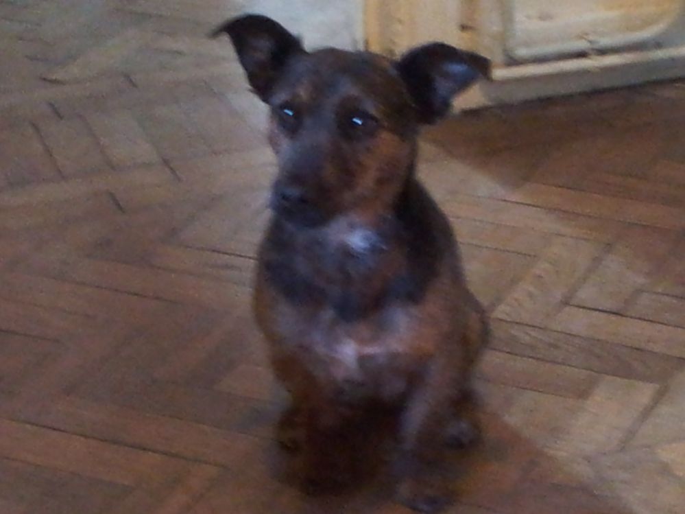 20130427_184539.jpg