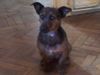 20130427_184539.jpg