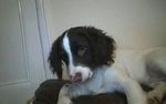 KINDLE_CAMERA_1383436008000.jpg