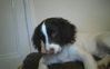 KINDLE_CAMERA_1383436008000.jpg