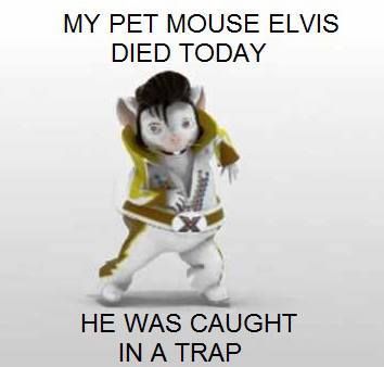 elvis.jpg