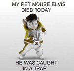 elvis.jpg