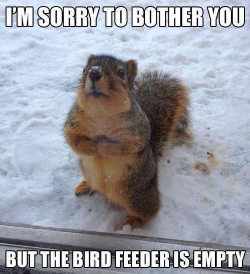 sorry.jpg