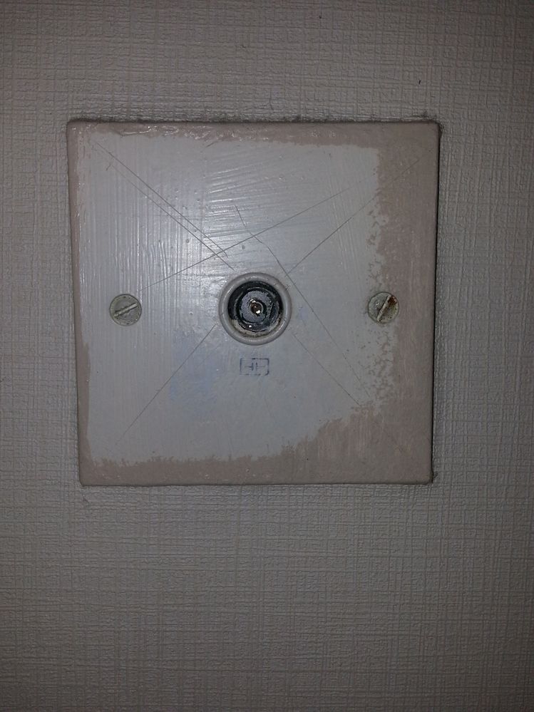 2013-11-11 19.39.57.jpg