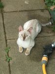 DSCF0388.JPG