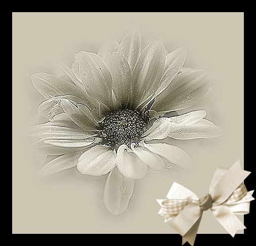 flower with bow.jpg