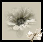 flower with bow.jpg