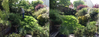 Garden 2015_16.png