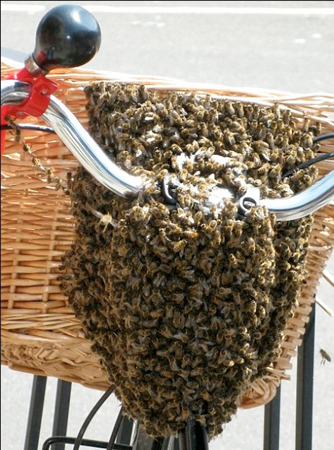 Screen Shot 2016-06-07 at 18.30.35.png