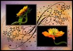 fleurs.jpg