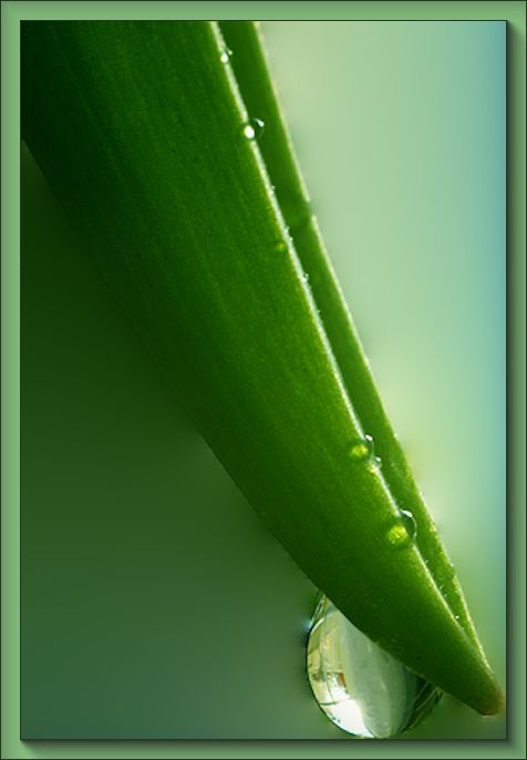 raindrop.jpg