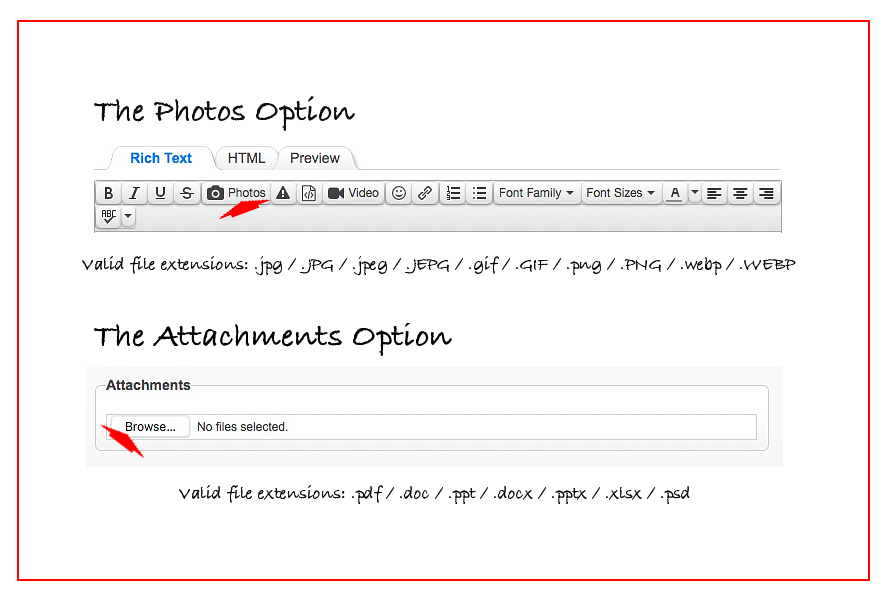 Accepted File Formats.png