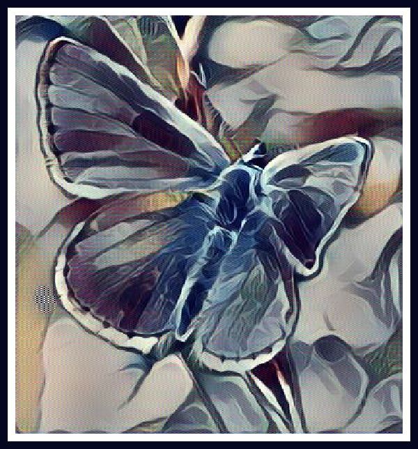 butterfly art..jpg