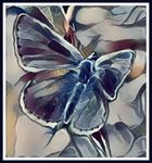 butterfly art..jpg