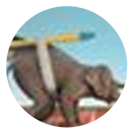 fre55die.png