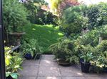 CARBON SEQUESTRATION