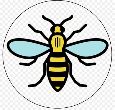 bee.jpg