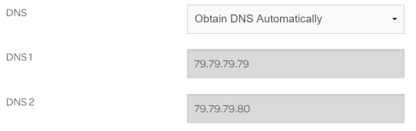 Internet Connectivity - auto DNS servers.png