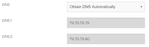 Internet Connectivity - auto DNS servers.png