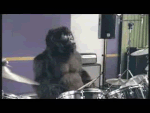 Drummer