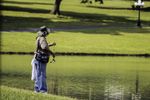 gone-fishing-821909_960_720.jpg