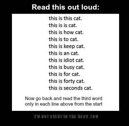 Read.jpg