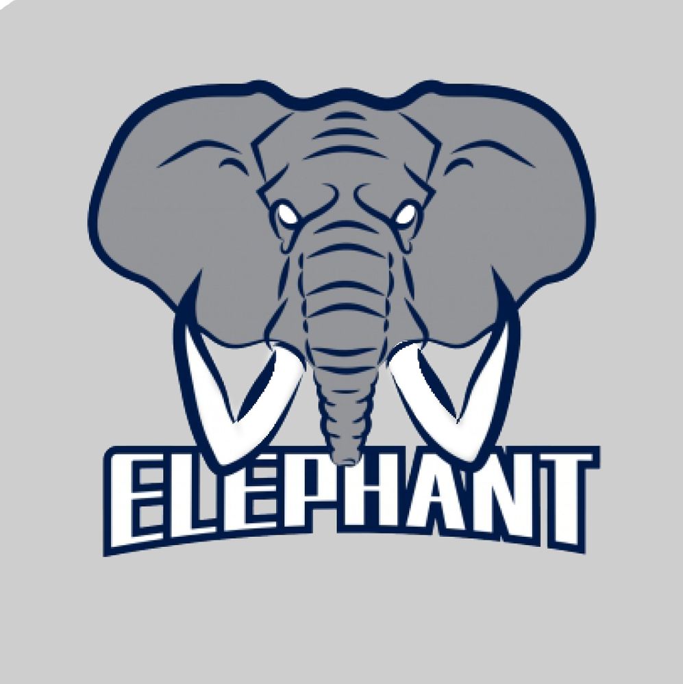 elephant.jpg
