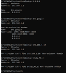 TonyHedge_0-1604059132269.png