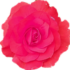 20210311_223601.png