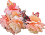 20210311_223444.png