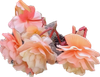 20210311_223444.png