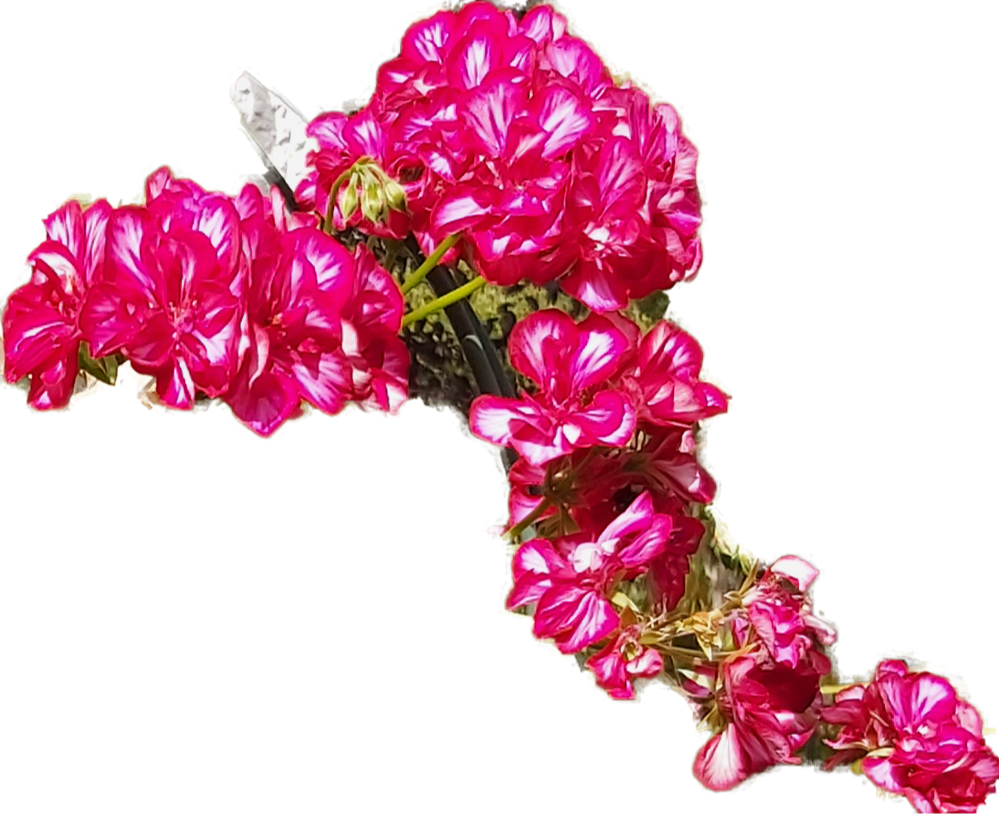 20210311_223115.png
