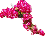 20210311_223115.png